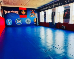 У Кропивницькому може з’явитися школа для занять спортом